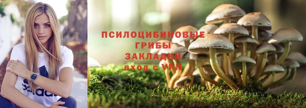 хмурый Дмитров