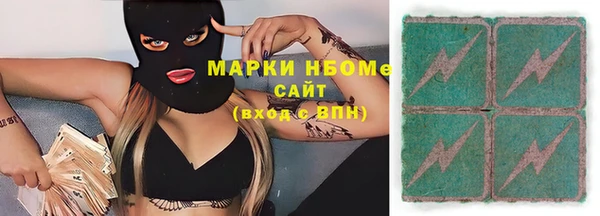ГАЛЛЮЦИНОГЕННЫЕ ГРИБЫ Дмитриев