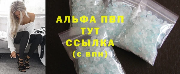 хмурый Дмитров