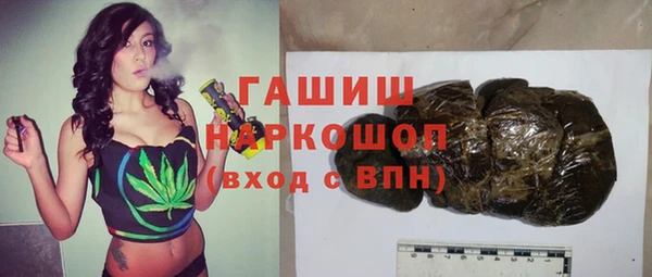ГАЛЛЮЦИНОГЕННЫЕ ГРИБЫ Дмитриев