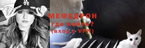 хмурый Дмитров