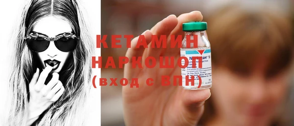 ГАЛЛЮЦИНОГЕННЫЕ ГРИБЫ Дмитриев