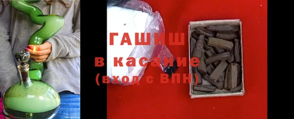ГАЛЛЮЦИНОГЕННЫЕ ГРИБЫ Дмитриев