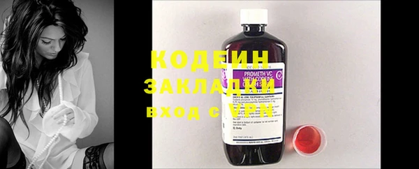 хмурый Дмитров