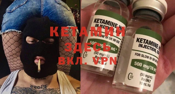 ГАЛЛЮЦИНОГЕННЫЕ ГРИБЫ Дмитриев