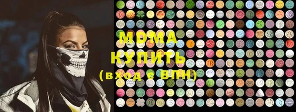 ГАЛЛЮЦИНОГЕННЫЕ ГРИБЫ Дмитриев
