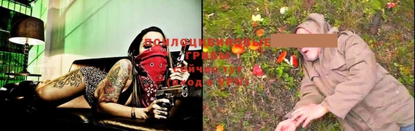 ГАЛЛЮЦИНОГЕННЫЕ ГРИБЫ Дмитриев
