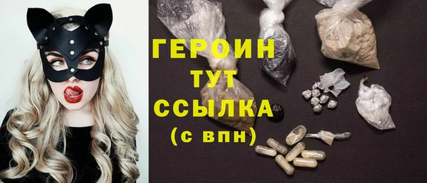 ГАЛЛЮЦИНОГЕННЫЕ ГРИБЫ Дмитриев