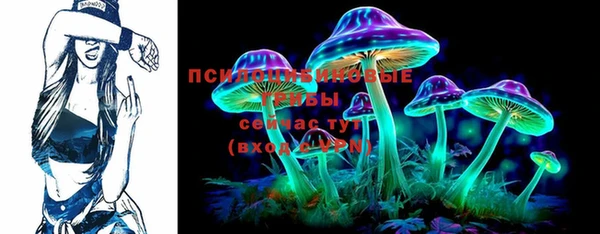 таблы Дмитровск