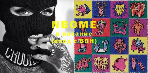ГАЛЛЮЦИНОГЕННЫЕ ГРИБЫ Дмитриев